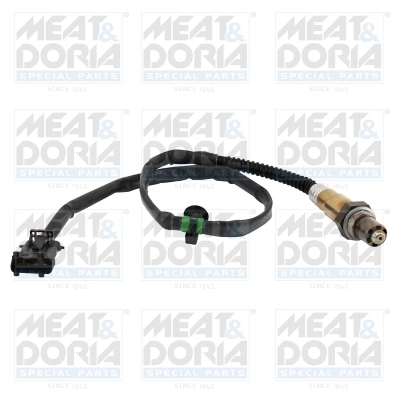 Oxygen Sensor
